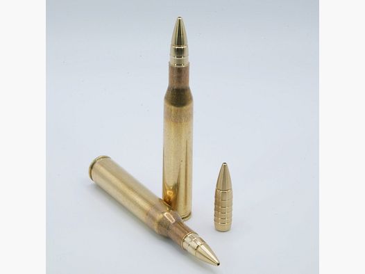 GM – 50 Patronen – Splinter – .270 Win – 6,6 g