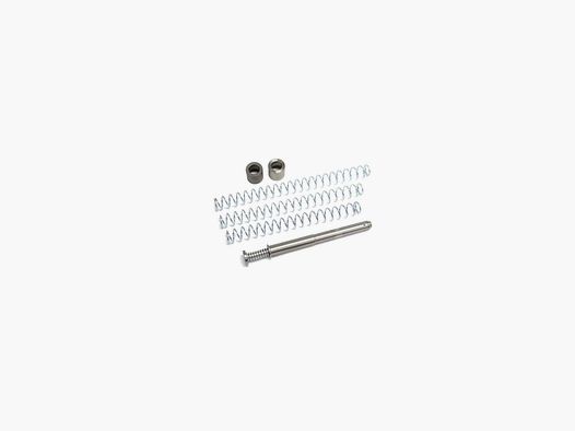 KIT RESSORT DPM POUR CZ P09