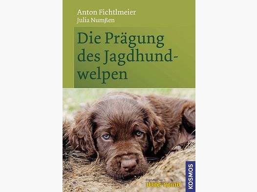 Die Prägung des Jagdhundwelpen