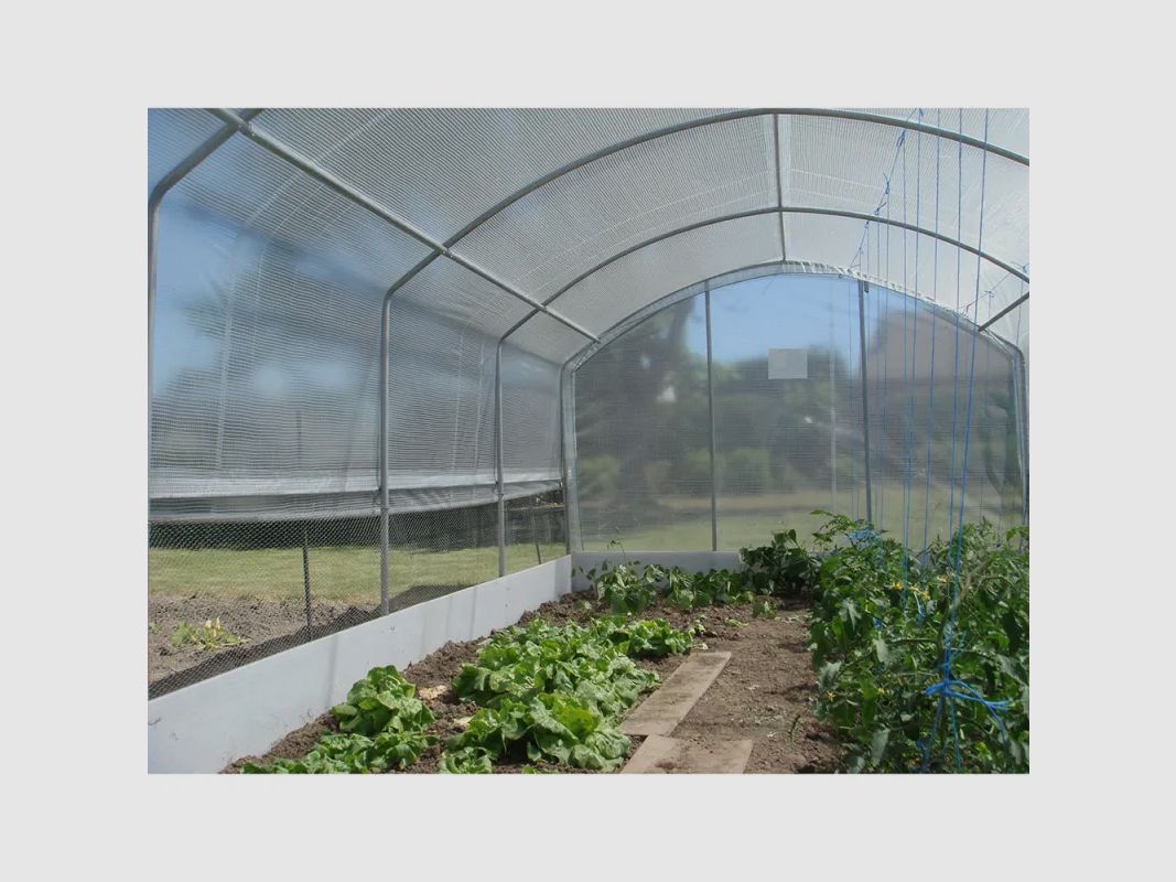 Gartenhaus mit Belüftungen Breite 3 m, Bild 5 von 6