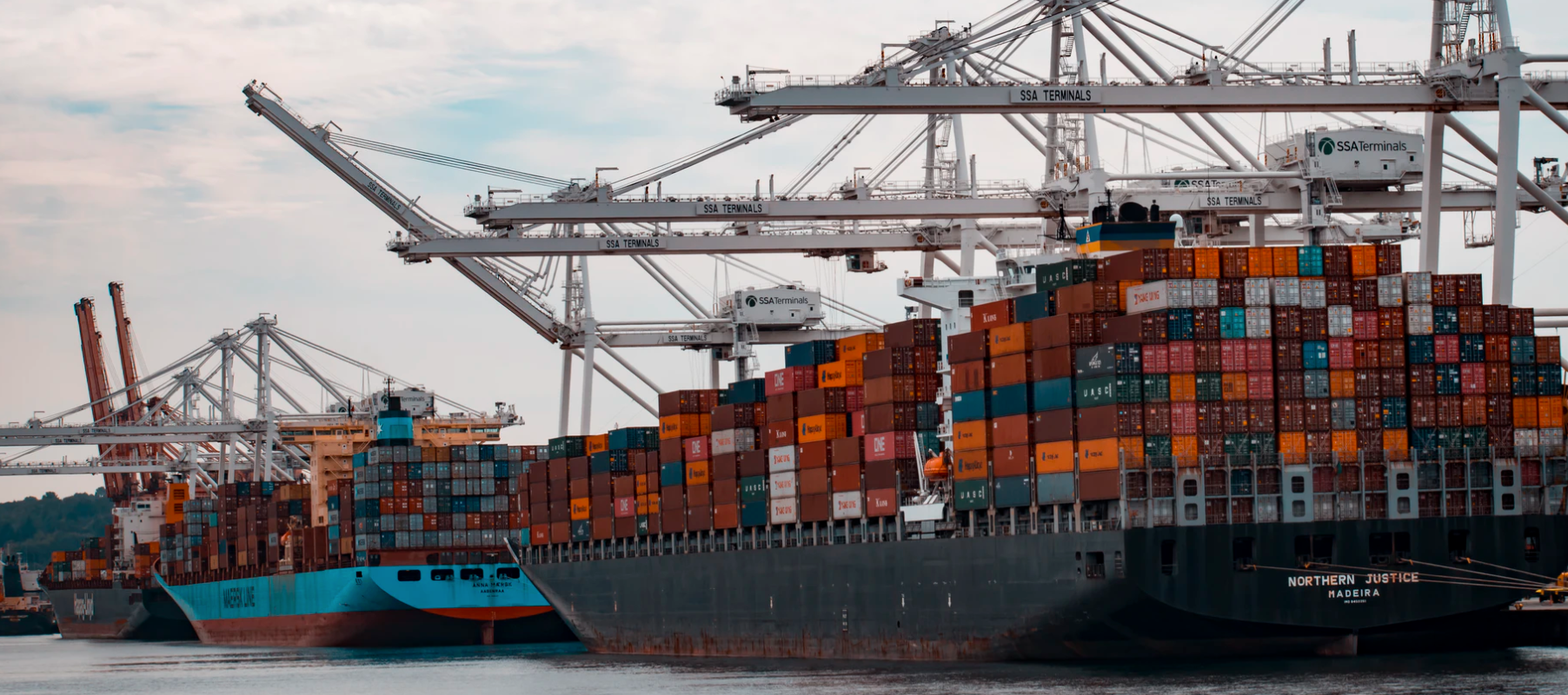 Transport of Weapons and Ammunition