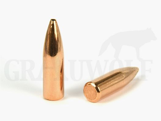 .318 / 8 mm (I) 175 gr / 11,3 g Degol Soft Point Bonded Hollow Point Balles 50 Pièces