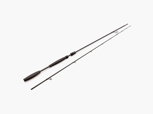 Westin W10 Spin 9,2″ 5-24g 2-delt