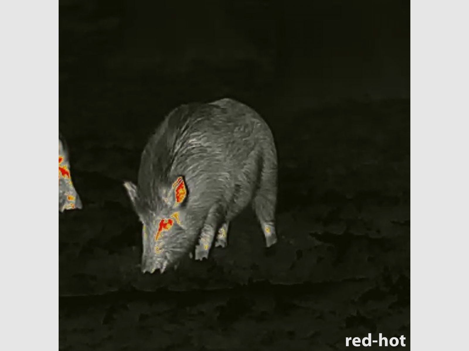 Lahoux Clip Elite 50 Wärmebildgerät