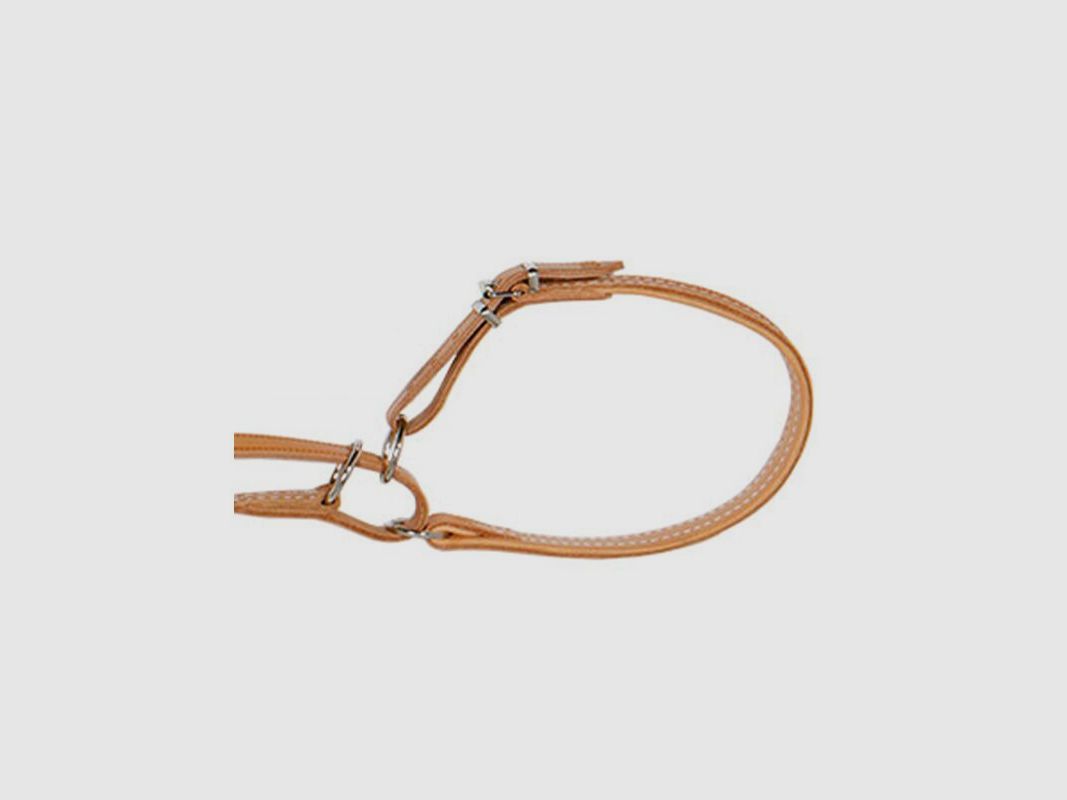 AKAH Umhängeleine mit Halsung 14 mm breit