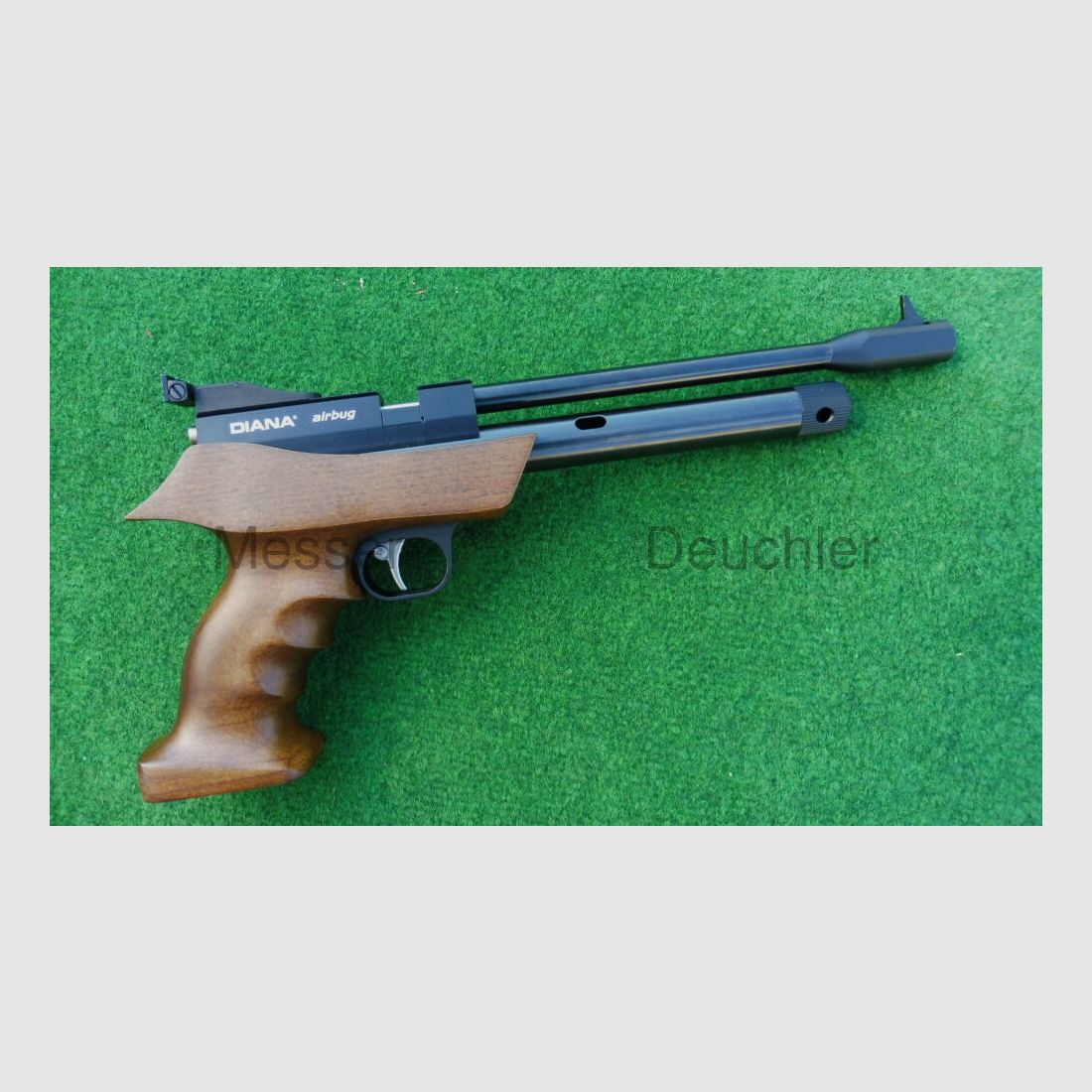 DIANA Diana airbug