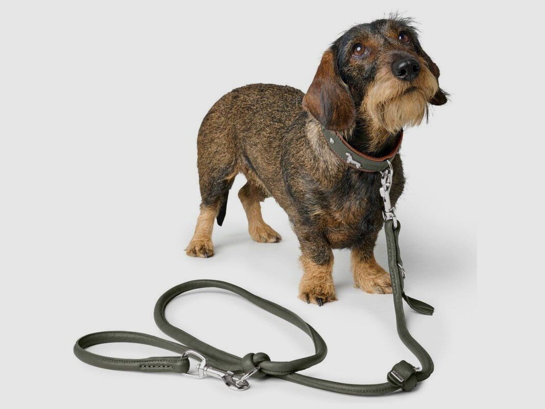 Hunter Hunde Verstellbare Führleine Round & Soft München