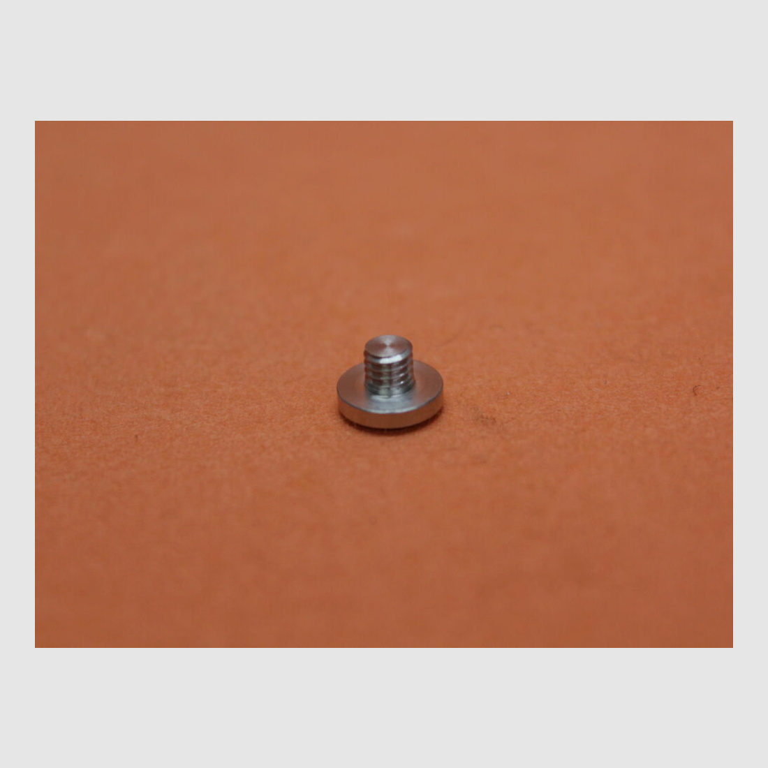 <SIG Sauer SIG Sauer X-LINE: 1 pieza tornillo de empuñadura Torx plateado NIRO (70001450)