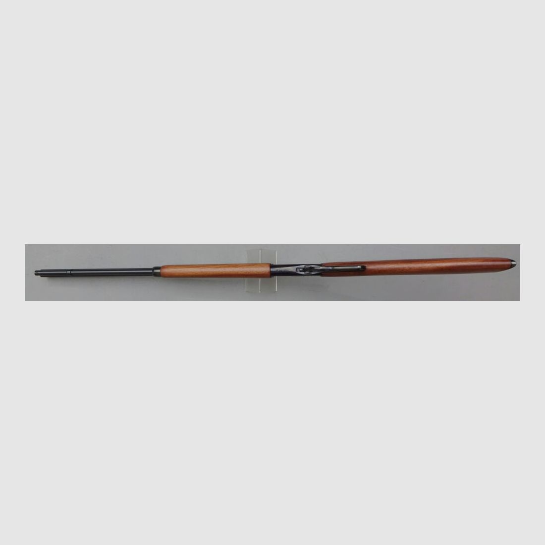 ROSSI PUMA Octagon 24" 8-sided run