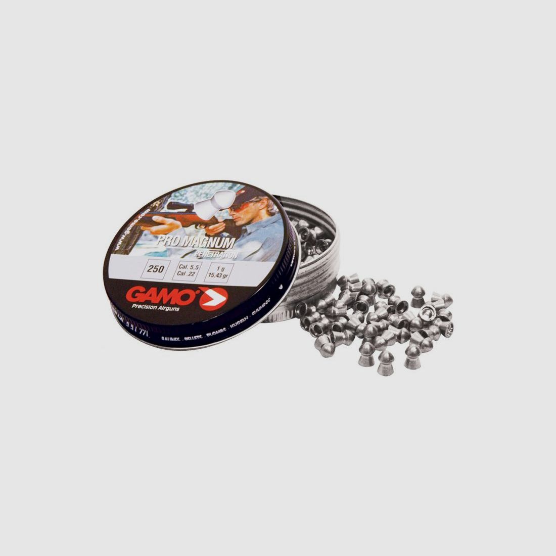 Gamo Pro Magnum plombs pour carabine à air comprimé 5,5 mm, 250 pièces