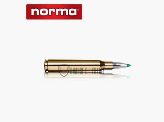 20 cartucce NORMA cal. 7x65R 140gr Ecostrike