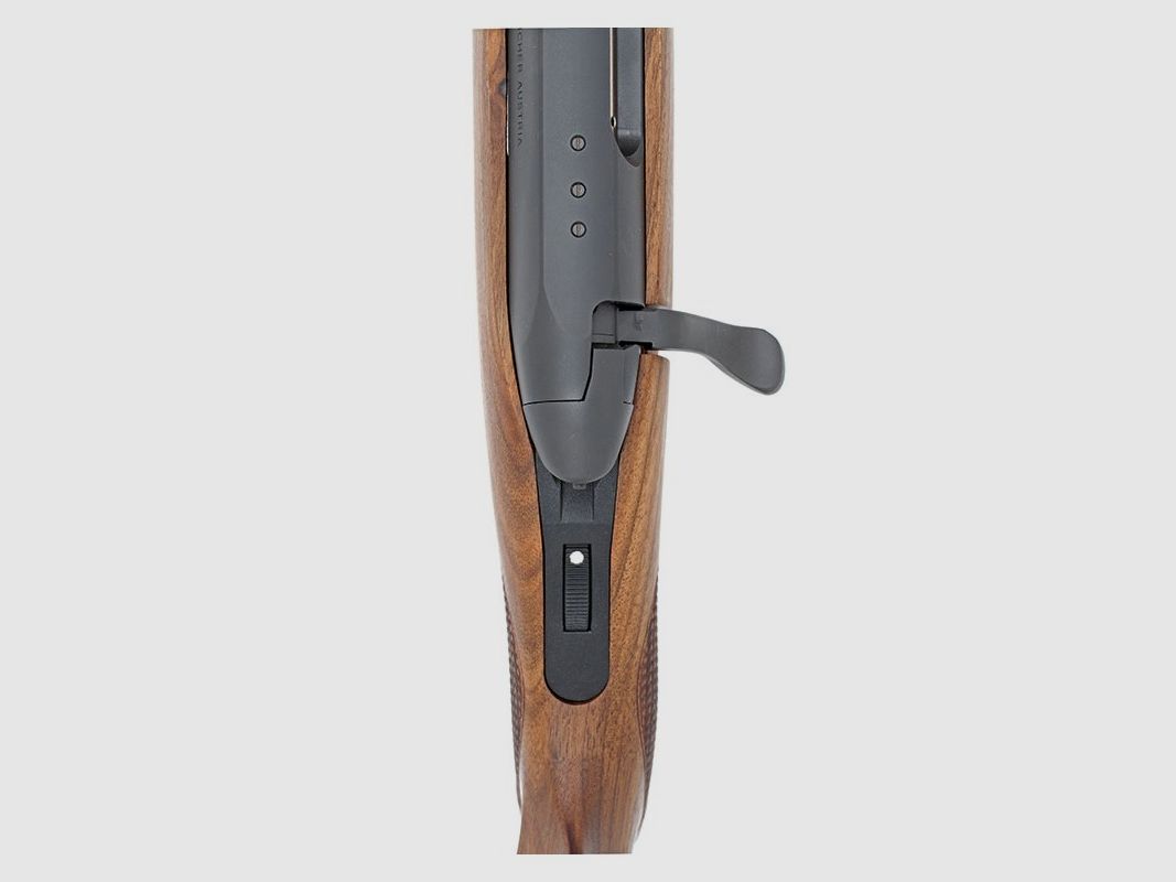 STEYR CL2 222 REM GOISERER SENZA MIRINO LGW M15X1, immagine 4 di 4