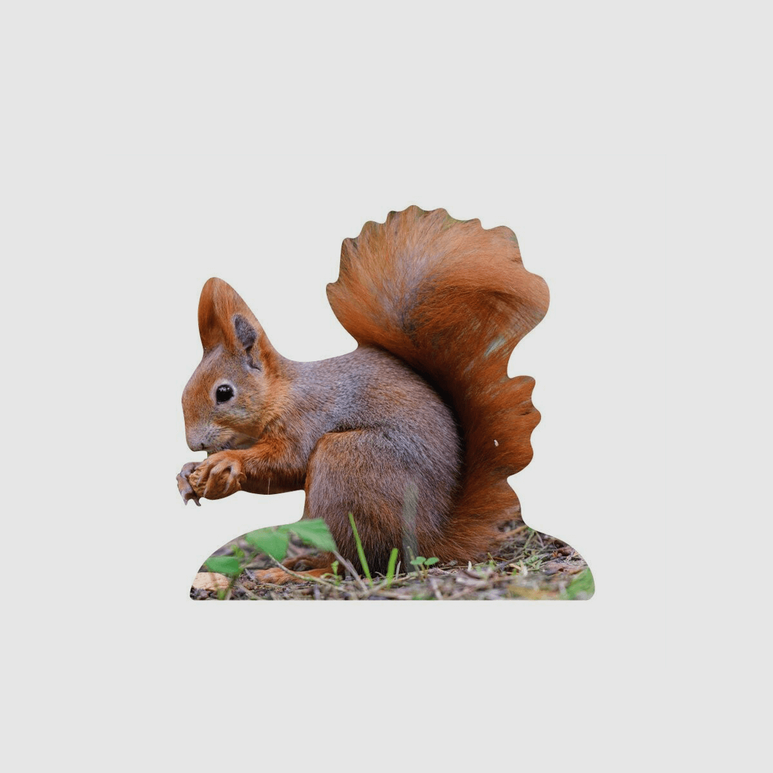 Tieraufsteller Eichhörnchen