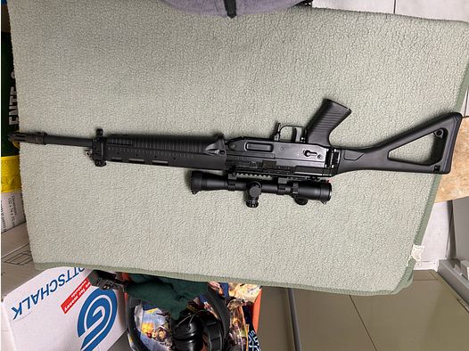 Sig Sauer 551