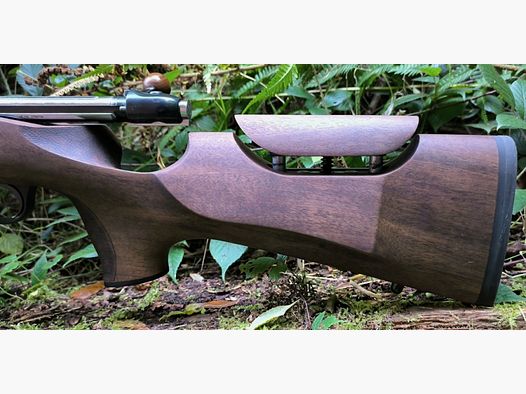 Heym Sr21 Kaliber .308 win mit kurzem Lauf, Gewinde und Comfy-Grip-Schaft