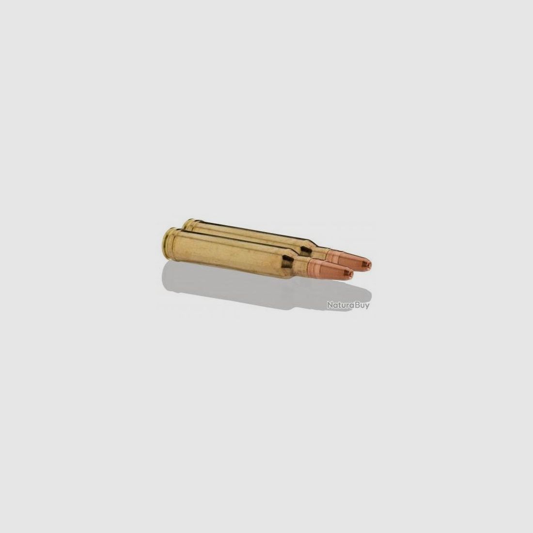 MUNITION SOLOGNE 300WM GPA 180GR, Bild 2 von 2