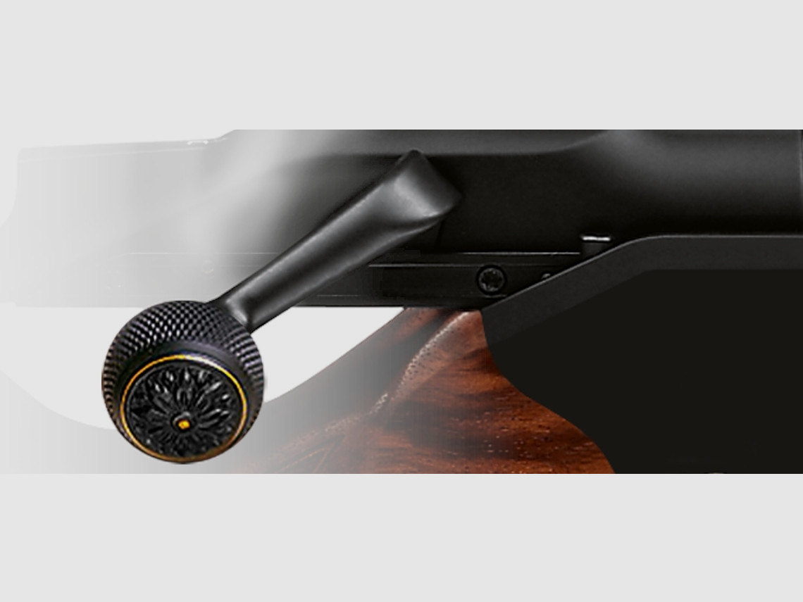 Blaser R8 extra uitrusting kamerhandgreep staal/goud/visserij.