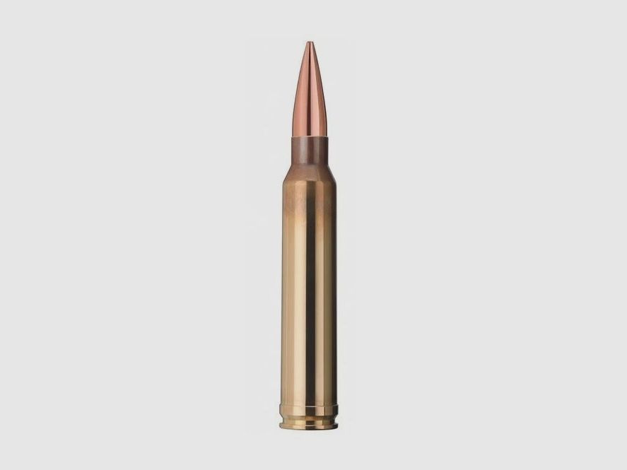 GECO GECO .300 Win. Mag. Target HP 12,3g / 190grs. 1.000x Patronen im Karton (20 x 50 Packung)