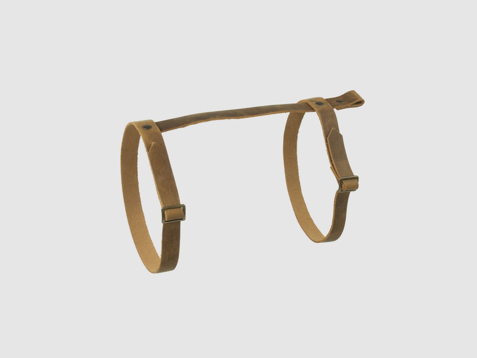 Ceiling strap leather