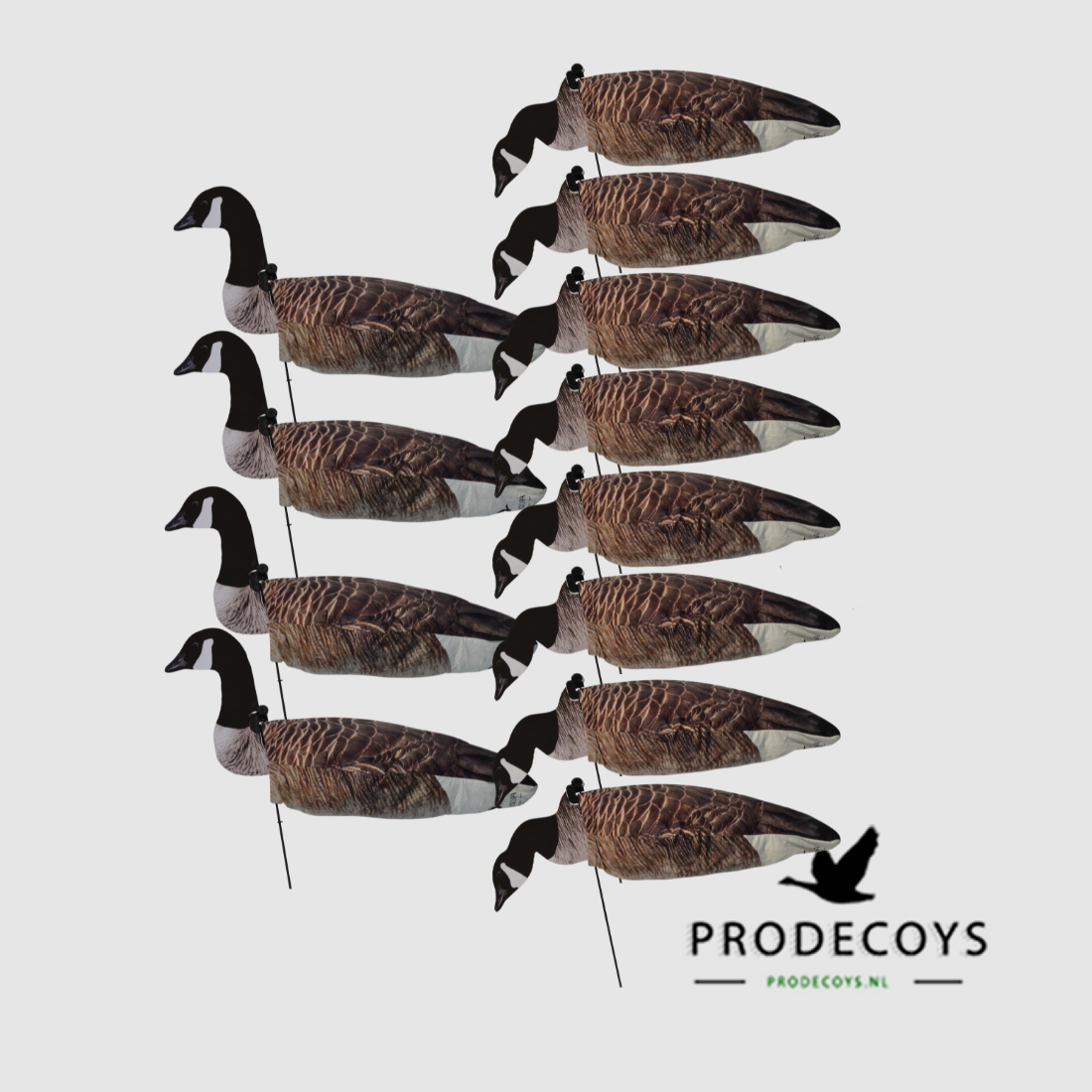 ProDecoys Kanadagans-2D-Windsock-Lockvögel – 12 Stk., Bild 1 von 3