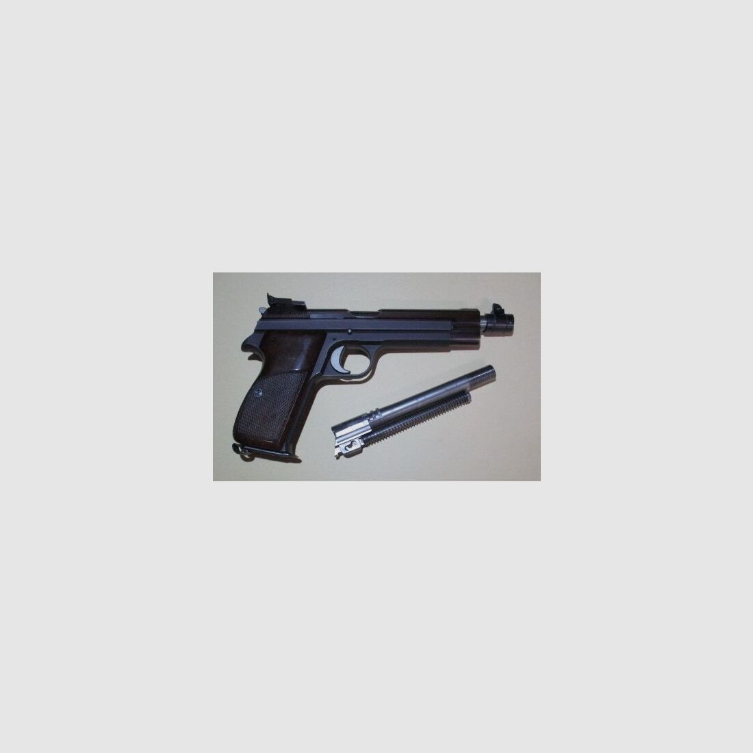 Pistole SIG P20-5 Target Sport 6 Zoll mit Zusatz Bleiflauf 210-5