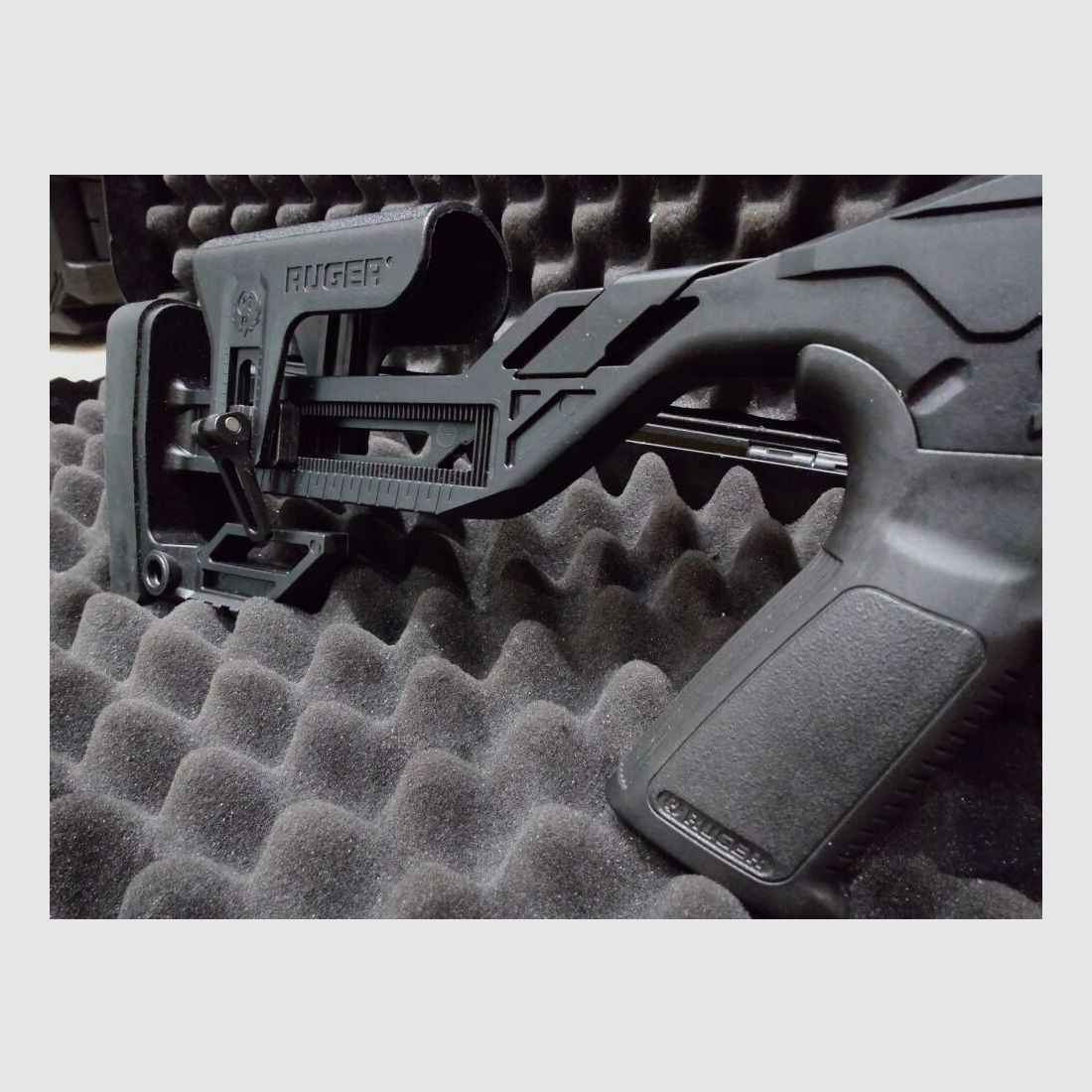 Ruger Precision Rimfire