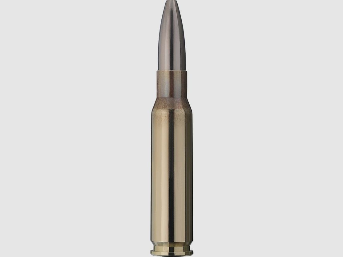 RWS Cineshot 147grs - 30Stk