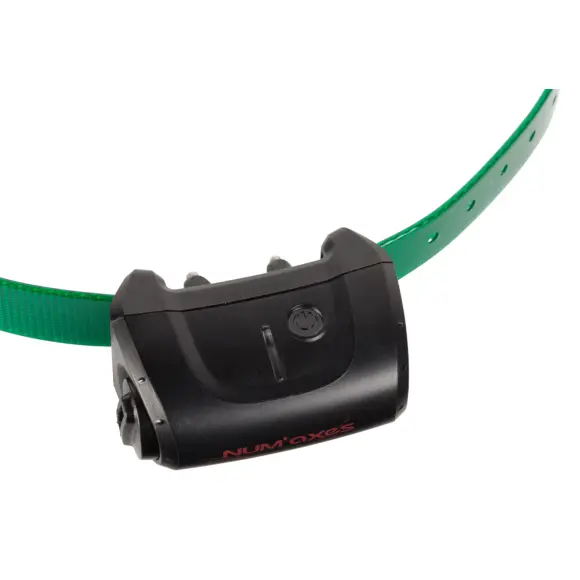 Zusätzliches Halsband für Canicom 5 Kit, Bild 21 von 24