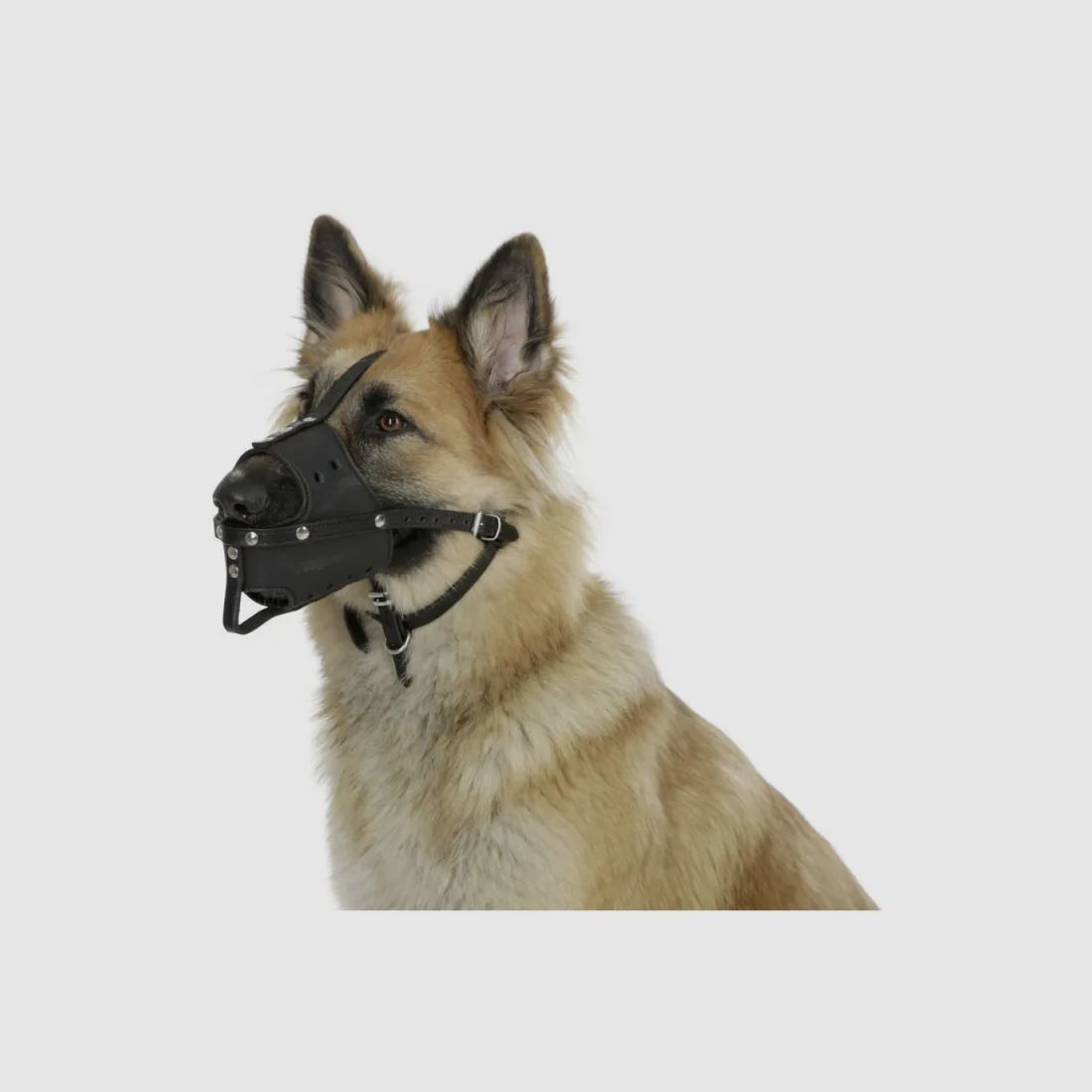 Verstellbare 3-Punkt-Ledermaske für Hunde, Bild 1 von 5