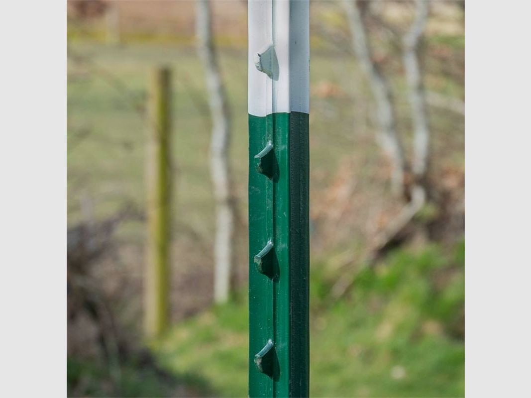 VOSS. Palo a T, paletto a T, 213 cm, paletto metallico verde per recinzione da pascolo, set da 10, immagine 4 di 6