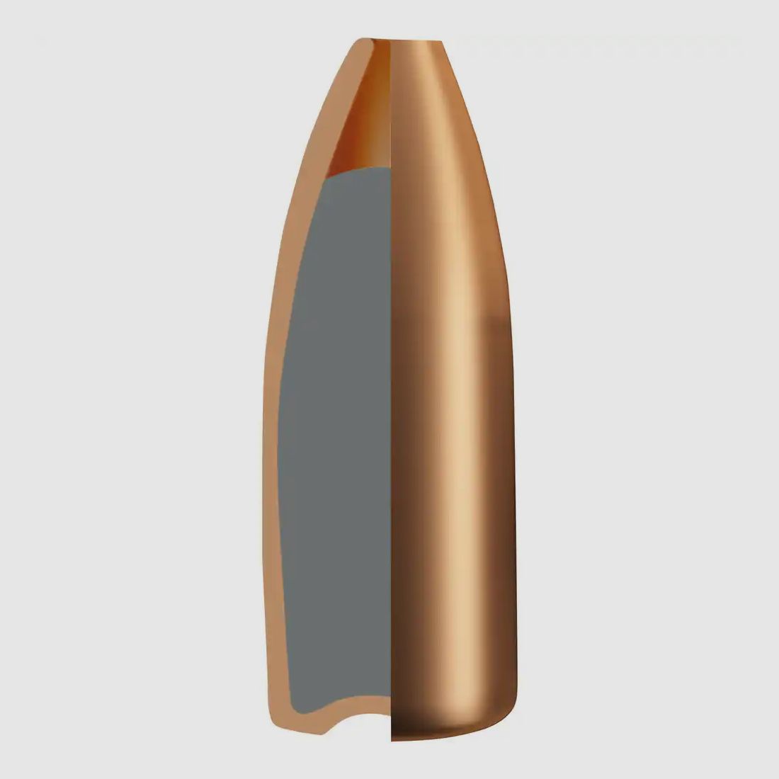 RWS .22 Hornet Match-Jagd 3,0g 46gr 50er