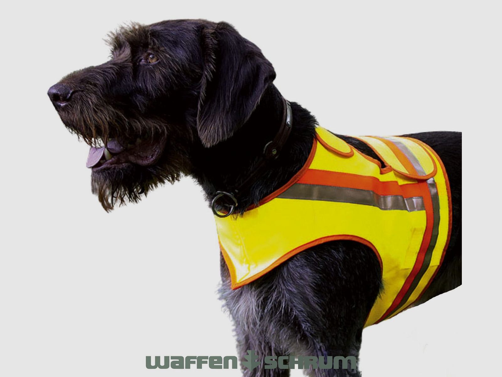 Gilet réfléchissant AKAH taille 3 pour chiens de chasse / chiens d'arrêt 9