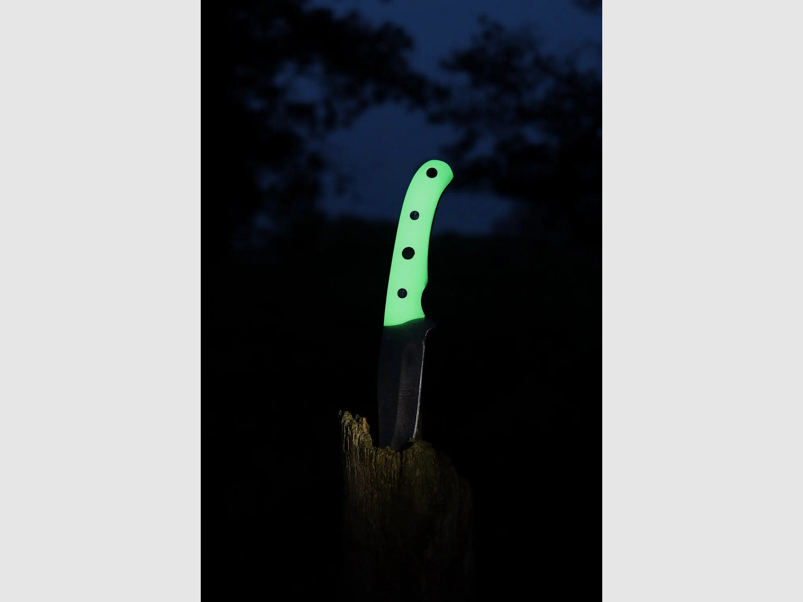 PUMA IP catamount luminescente