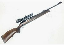 Sauer & Sohn Mod. S303 .30-06Spring