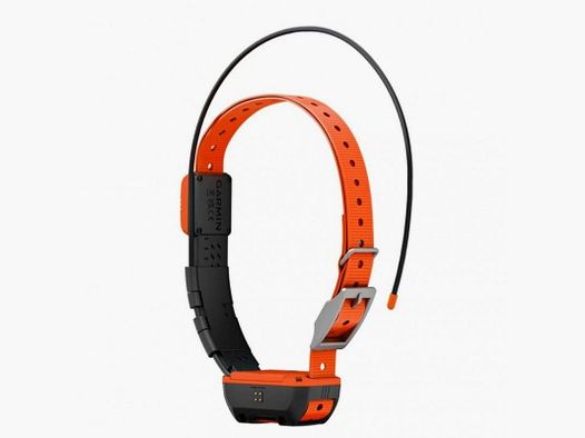 Halsband für Hunde Garmin Alpha T20