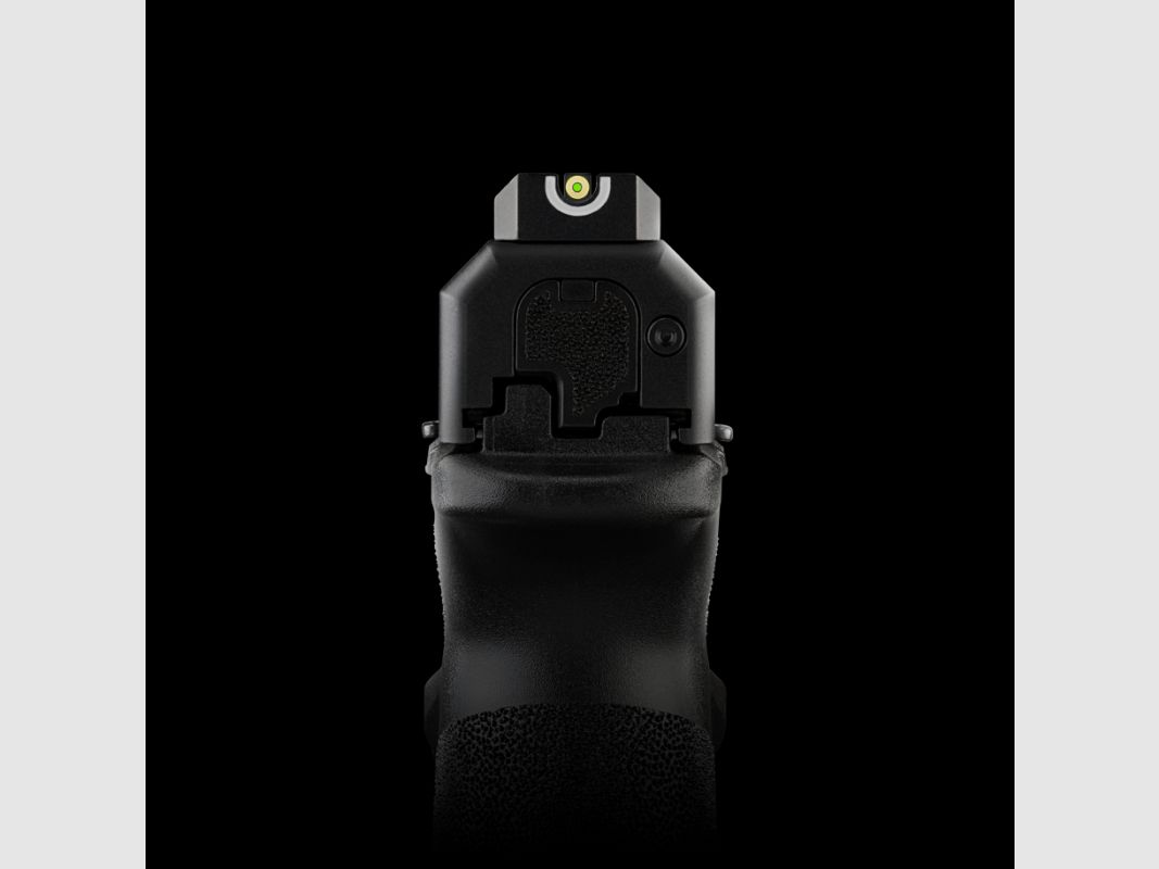 SPRINGFIELD ECHELON 9 PARA 4,5" U-NOTCH FDE, Bild 6 von 7