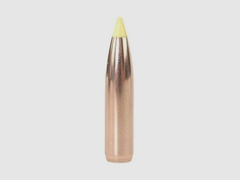 Nosler Bullet Ballistic Tip Hunting .270/.277 150GR Spitzer 50 pieces