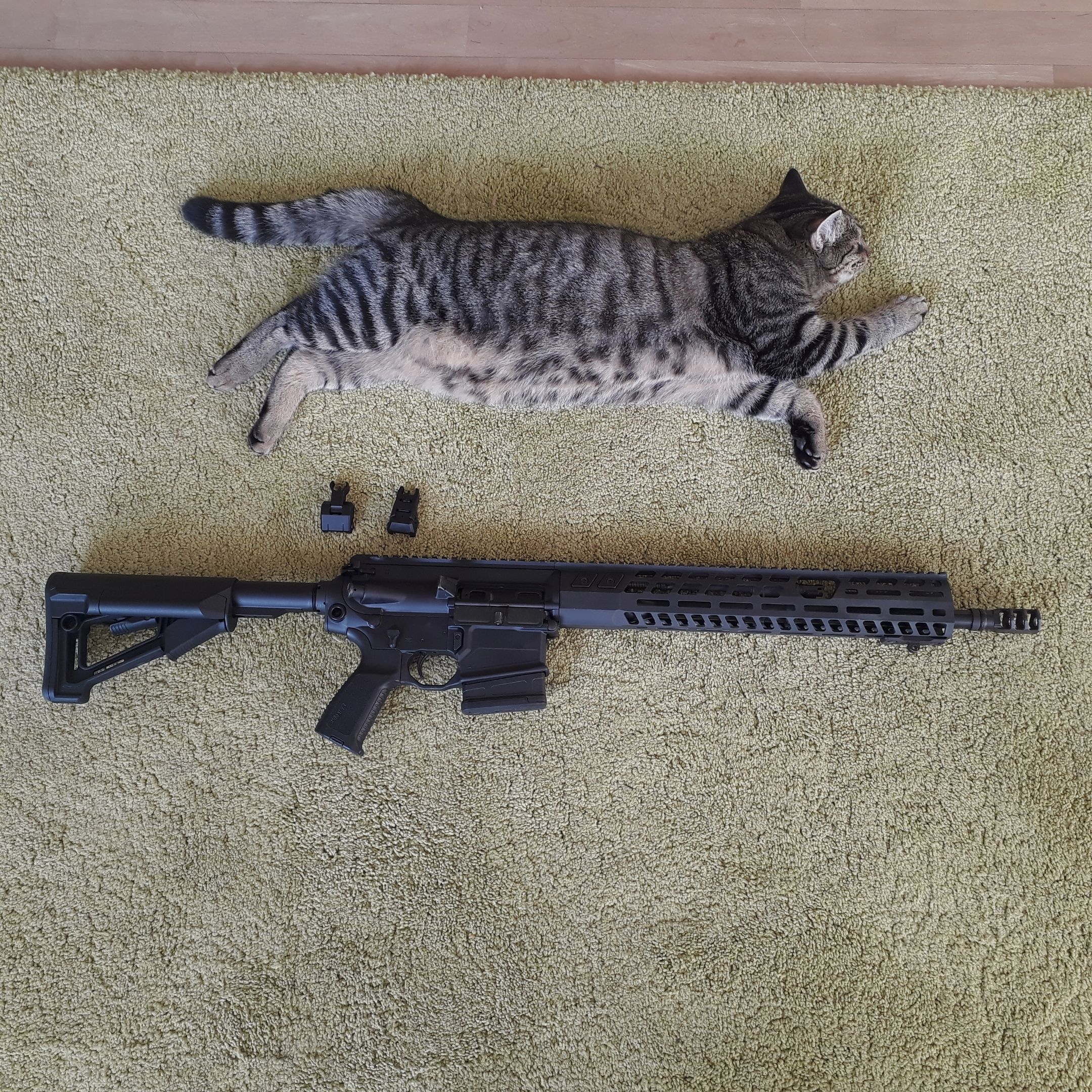 Sig Sauer 716 G2 Patrol with Geissele trigger and Magpul STR stock