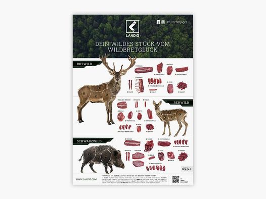 Landig Wildbretposter