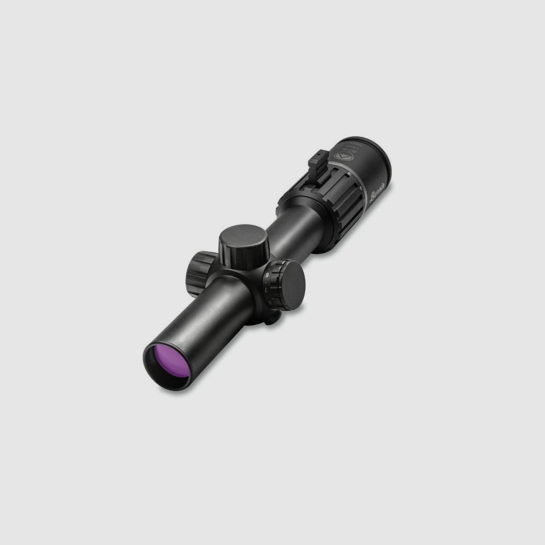 Burris rt6 1-6x24 Ballistik