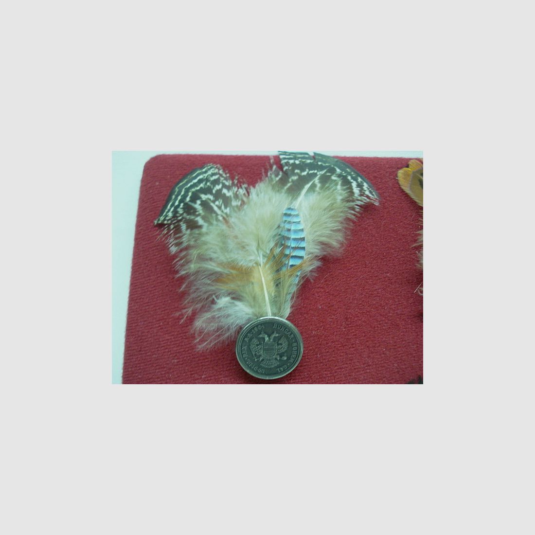 Caccia alla piuma del cappello -