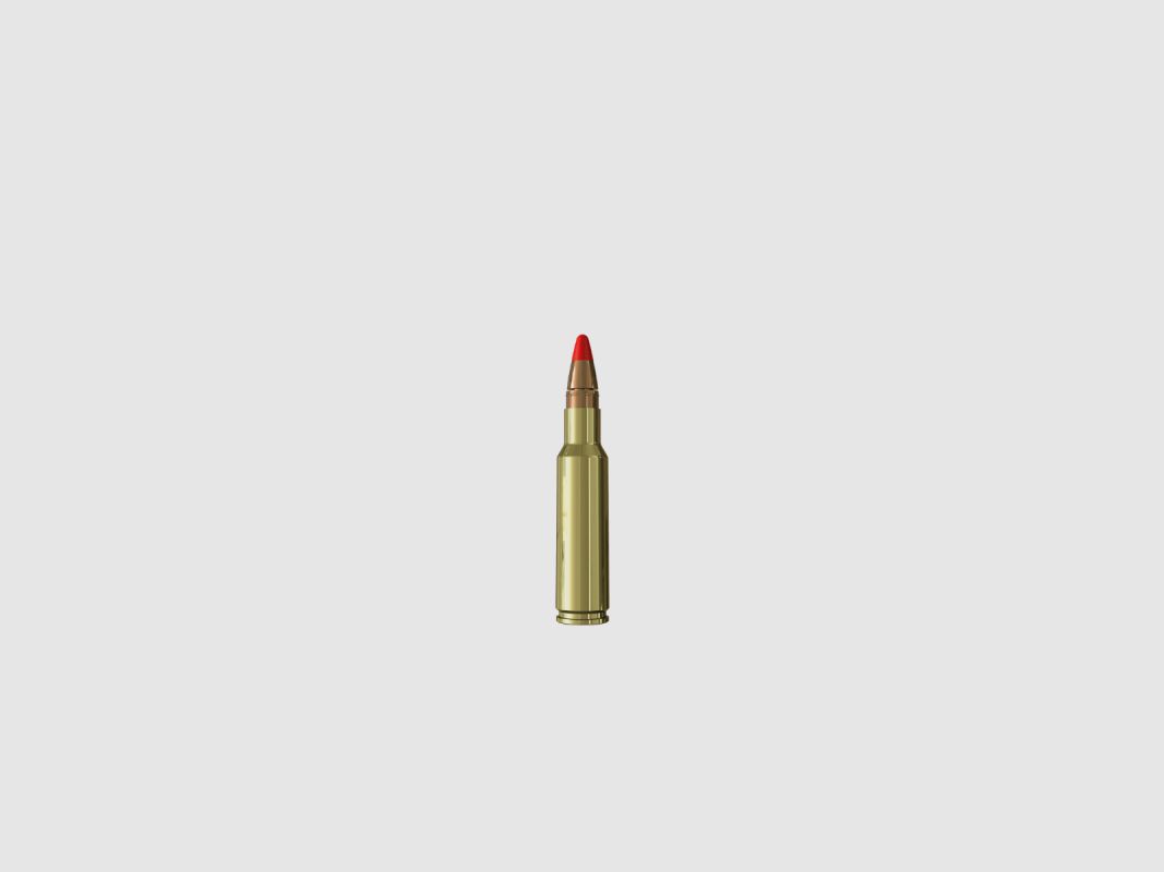 Sax 300 Win. Mag. KJG-SR 154grs, image 2 sur 2
