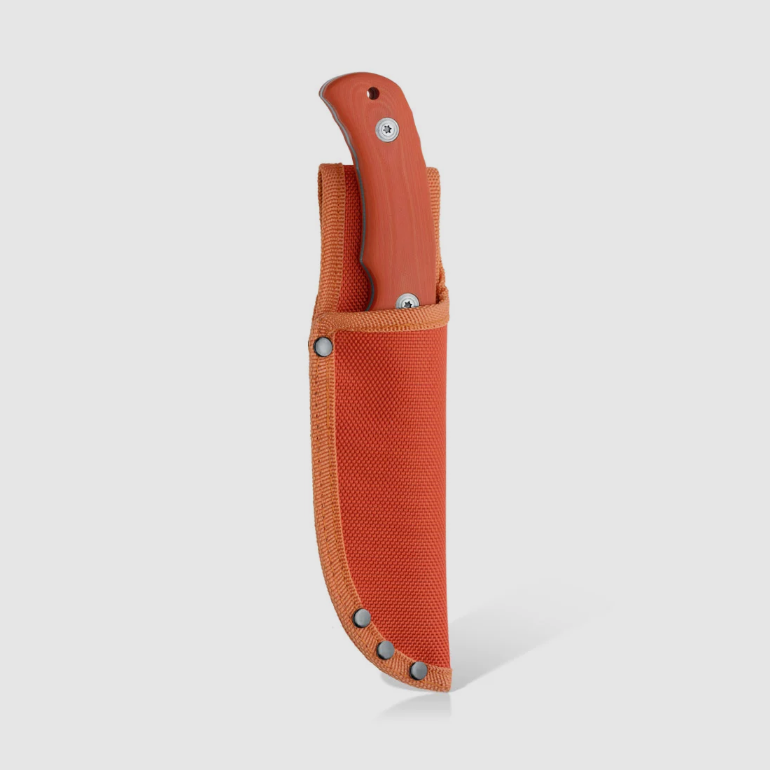 Lame drop point Black Fox finition satinée G10 orange BF-132, image 2 sur 4