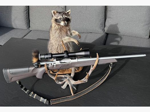 Sabatti Mercury Rover Pathfinder