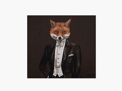 Lovergreen cushion design cushion fox in black and white jacket