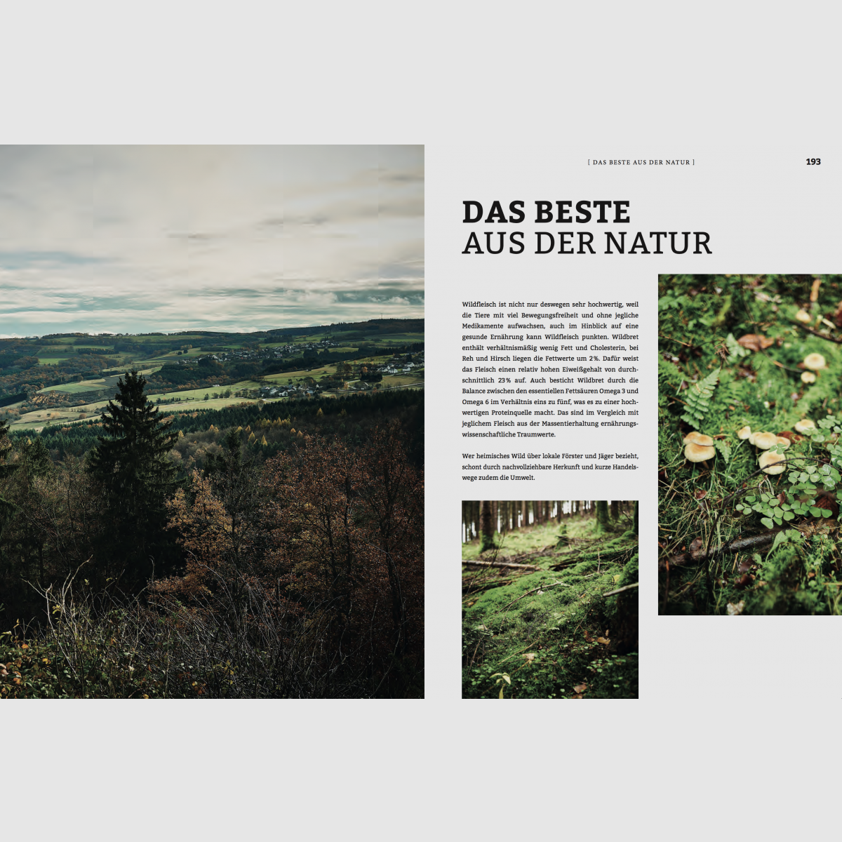 Wild 200 junge Rezepte natürlich aus dem Wald, Bild 11 von 12