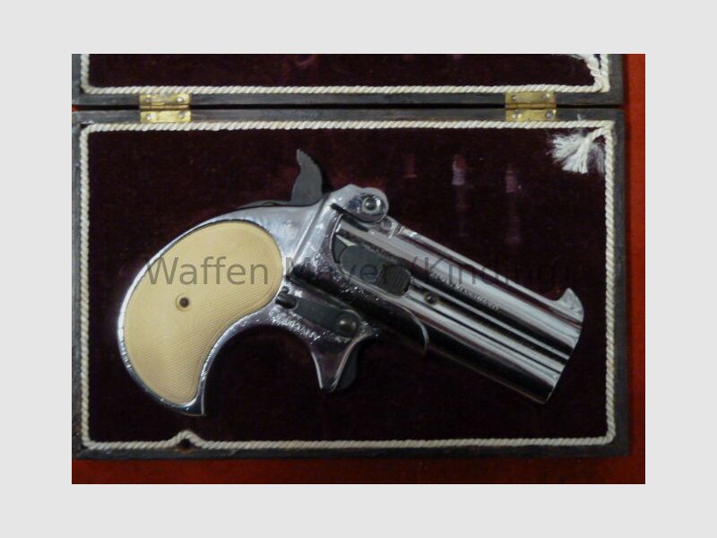 Röhm- Derringer RG15