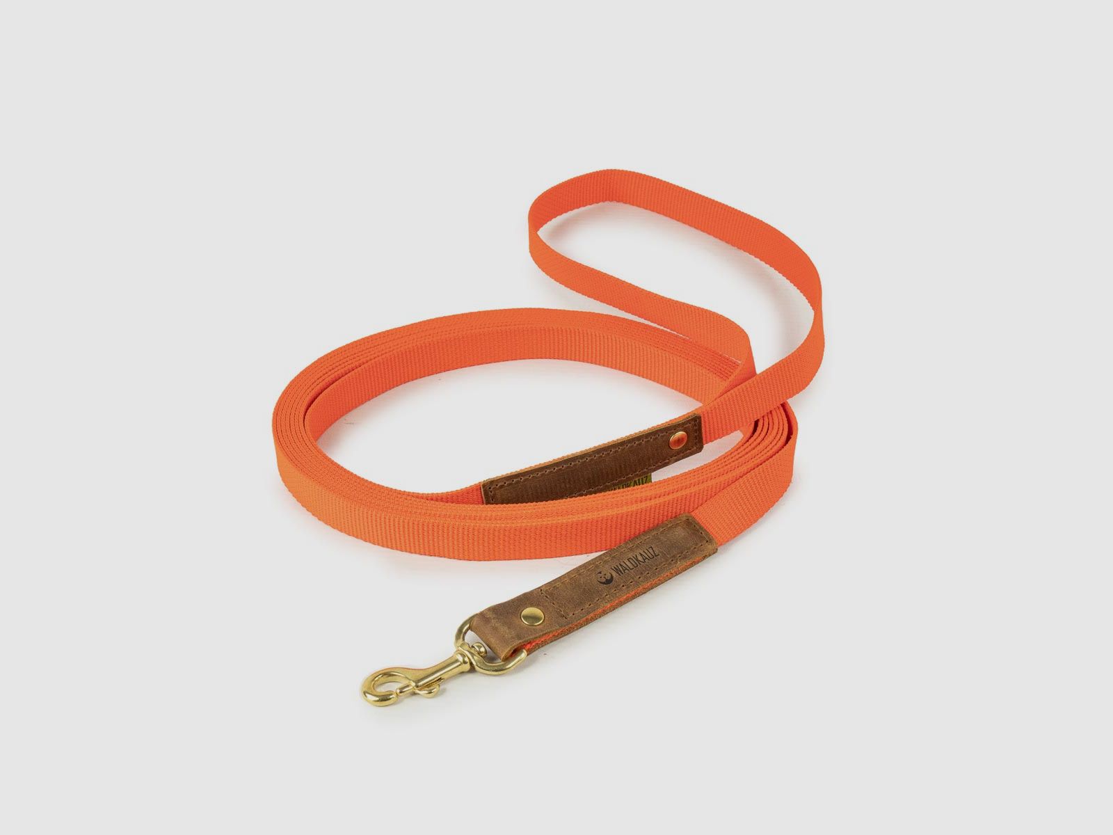 Trainingsleine "Praktikant", 5m , Orange