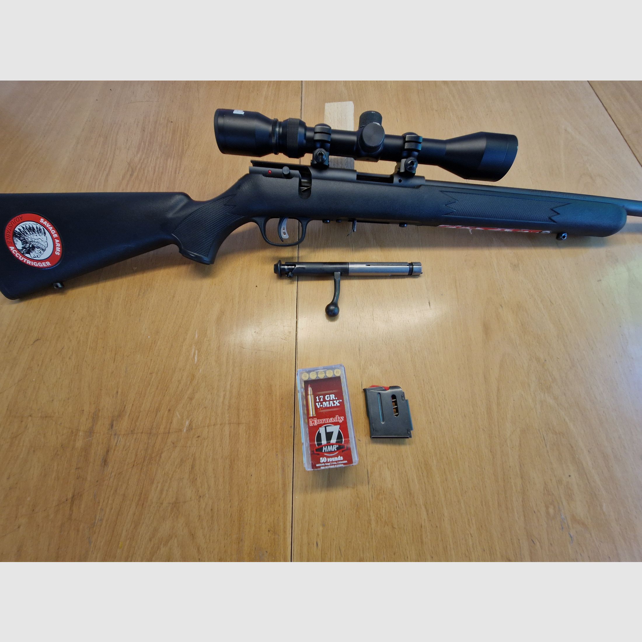 Blaser R 8, Bockflinte   Miroku MK 700 GAME 12/76,  Savage Büchse 17 HMR