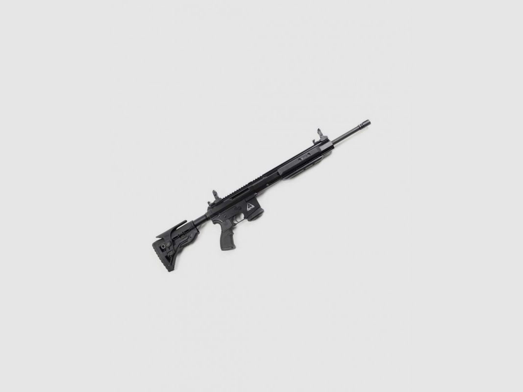 Vorderschaftrepetierer ISSC PAR Delta - 222 Rem., Bild 1 von 3